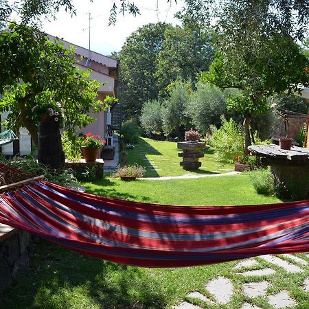 Le Case Di Bacco Santa Venerina Habitación foto