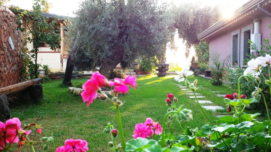 Le Case Di Bacco Santa Venerina Habitación foto